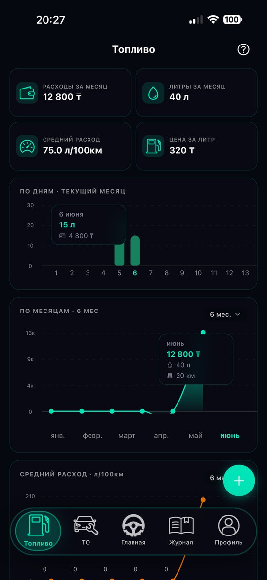 Топливо тёмная